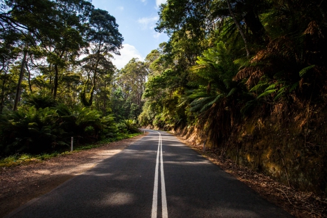  Paradise Tasman Highway